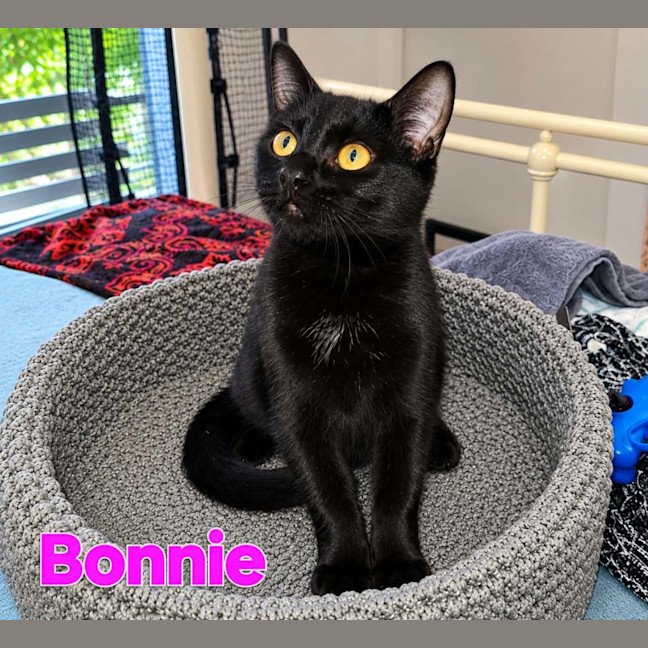 Photo of Bonnie