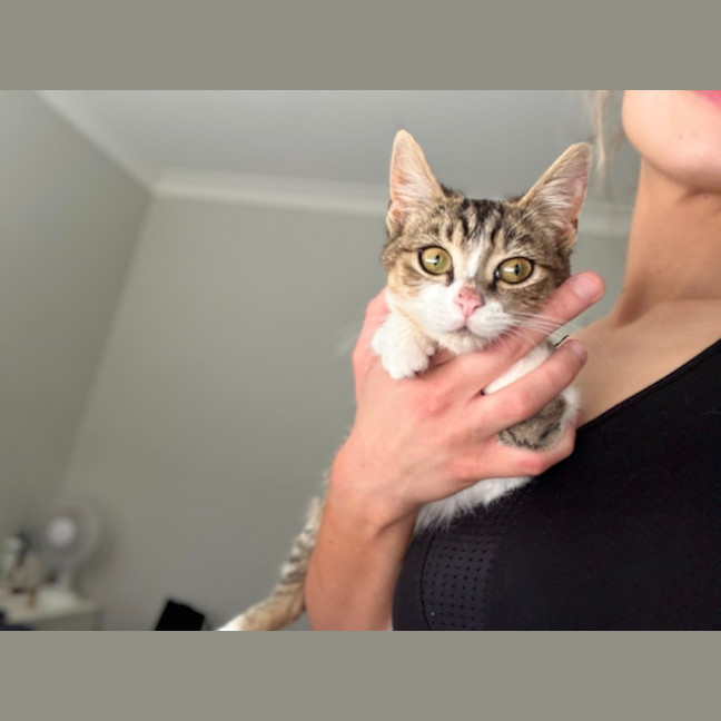 Photo of Flynn