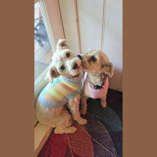 Photo of Gene And Ismene