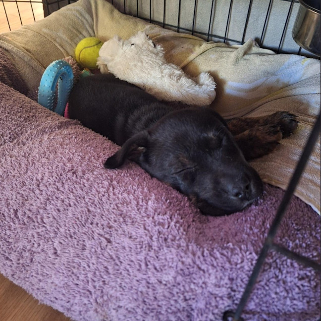 Photo of Bronx