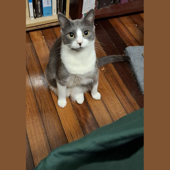 Photo of Athos