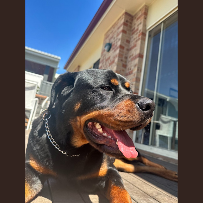 Photo of Murphy