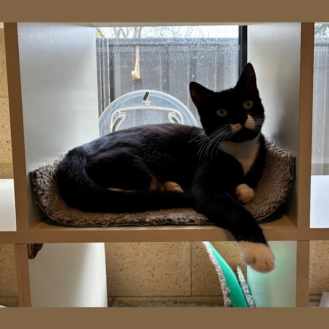 Photo of Buster