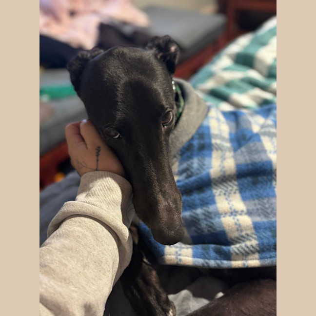 Photo of Elliot