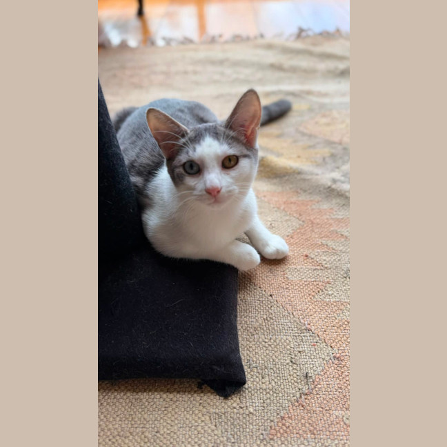 Photo of Nura