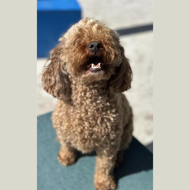 Photo of Billy