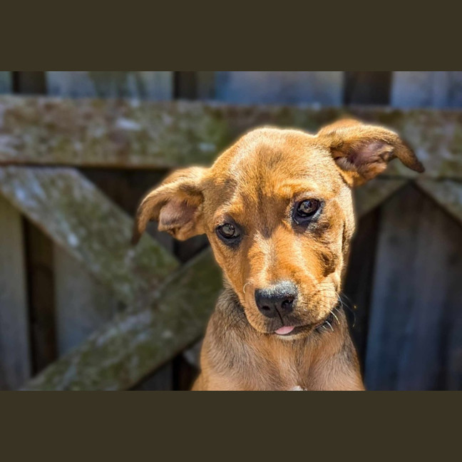 Photo of Annabelle