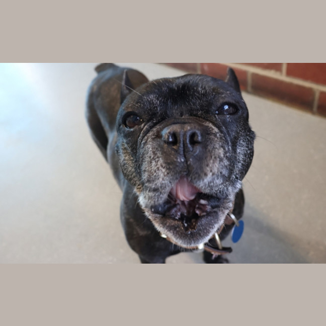 Photo of Coco 