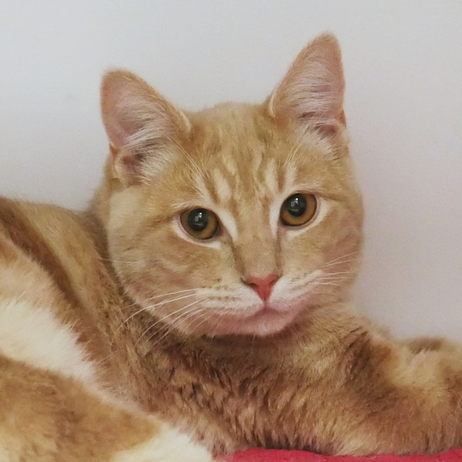 Photo of Teddy Sua012906