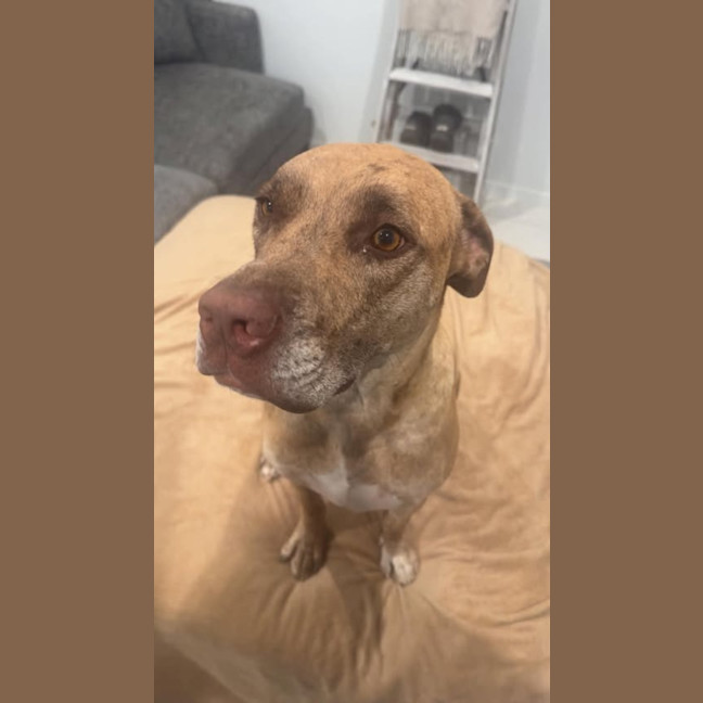 Photo of Duke