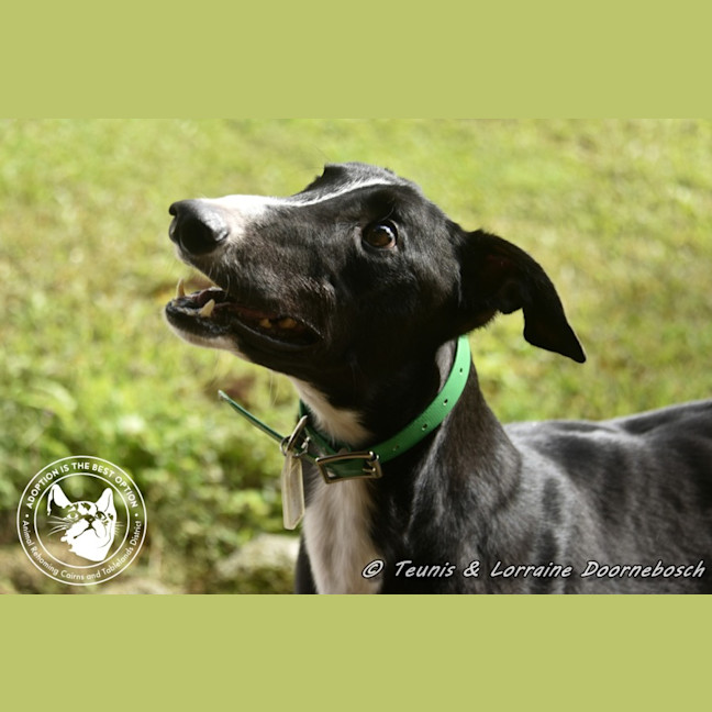 Photo of Jake (Forner's Reign)