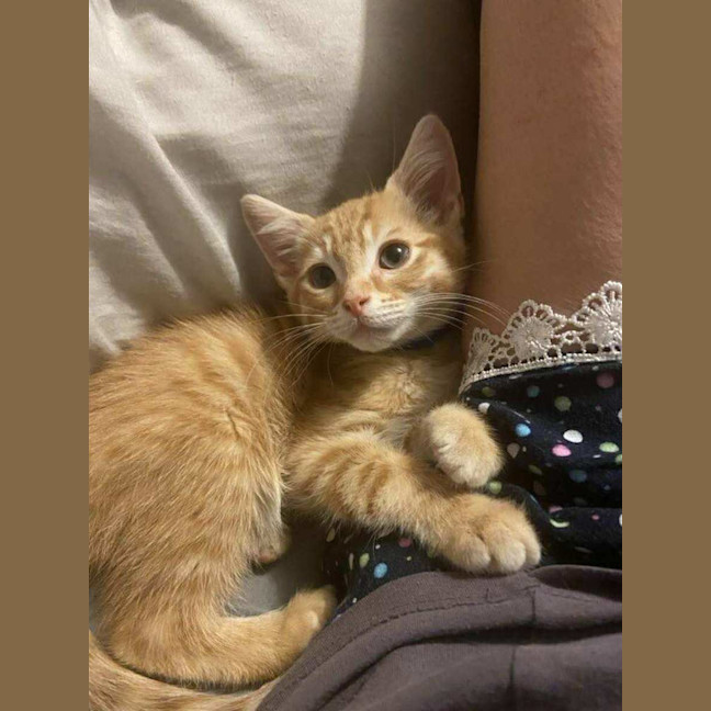 Photo of Dave The Third 