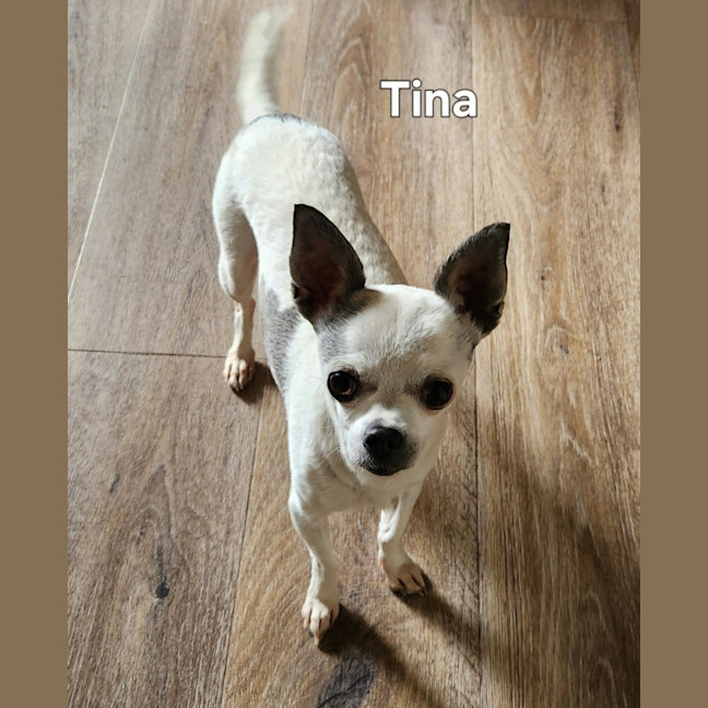Photo of Tina