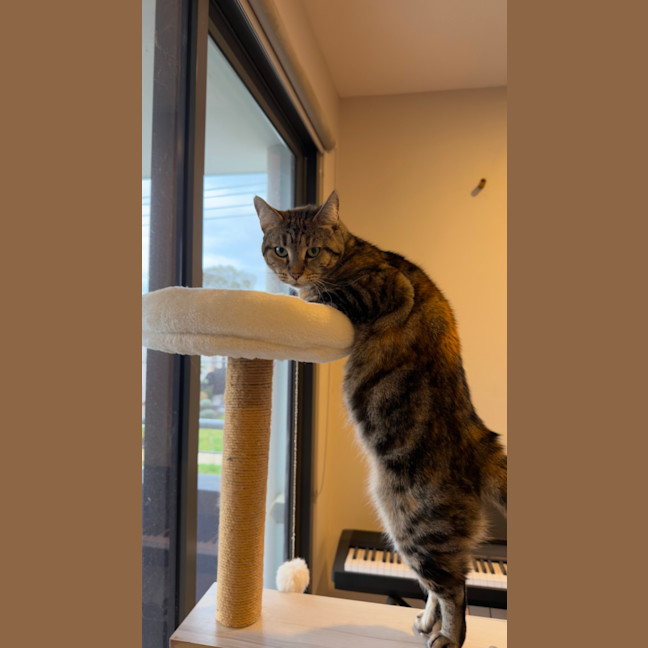 Photo of Penny
