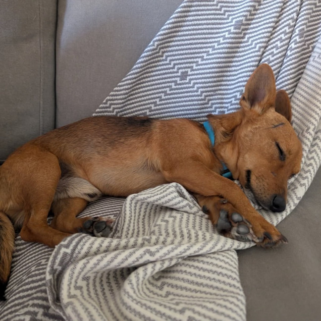 Photo of Rylo