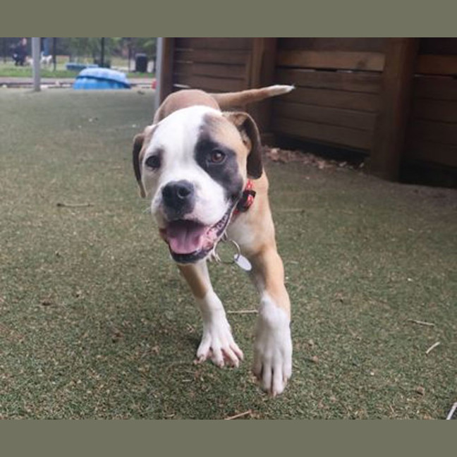 Photo of Betty