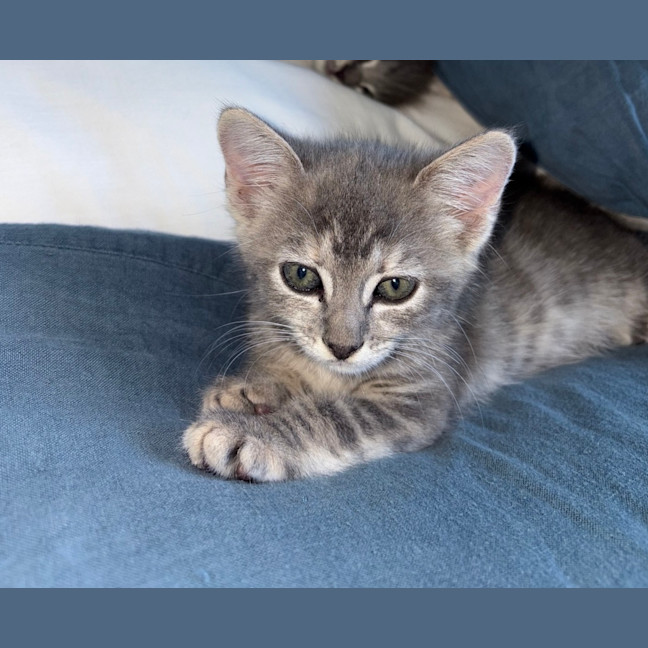 Photo of Leia
