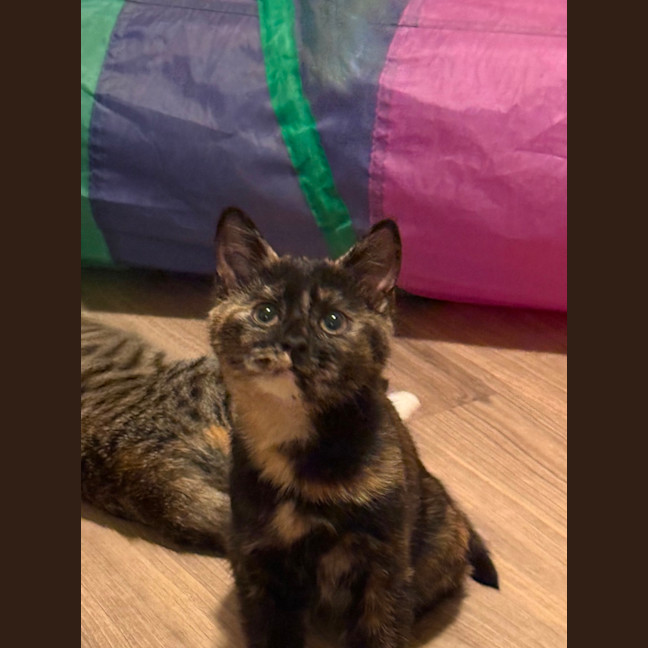 Photo of Luna 