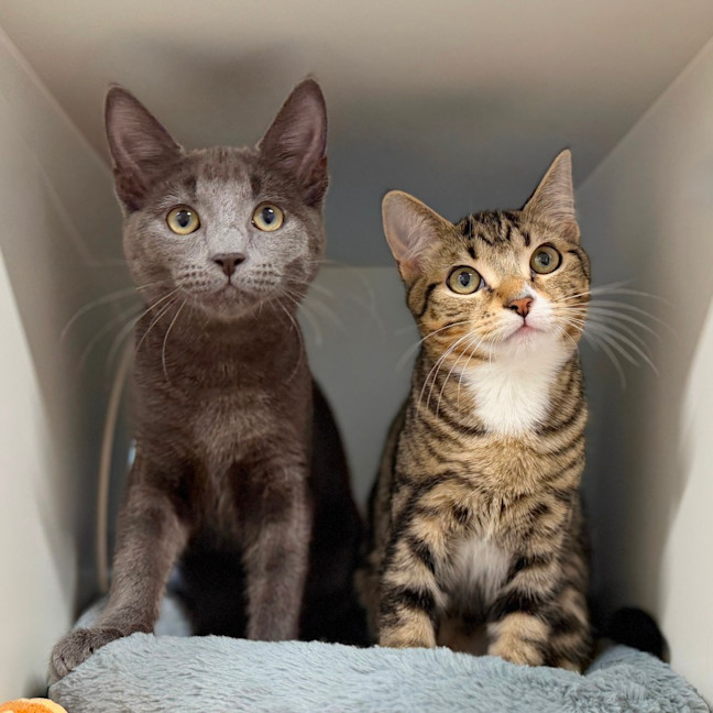 Photo of Quill & Polo