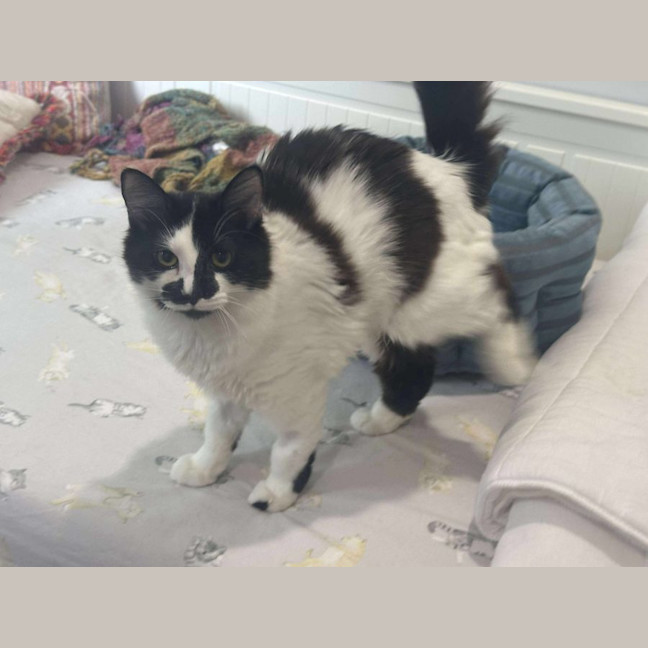 Photo of Rhunarb   Pet Quarters Broadmeadow 