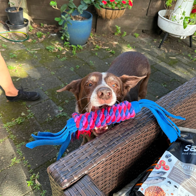 Photo of Hugo 