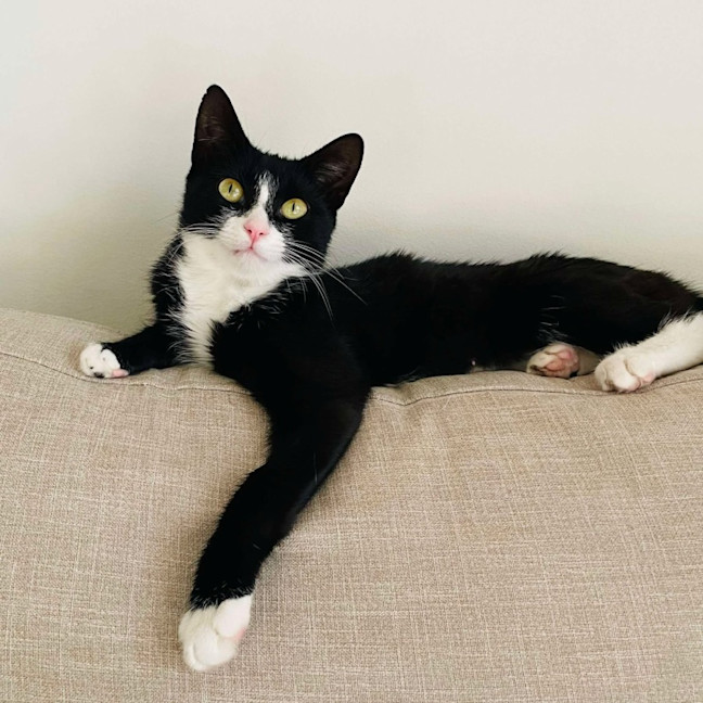 Photo of Edith   Located In Warrandyte