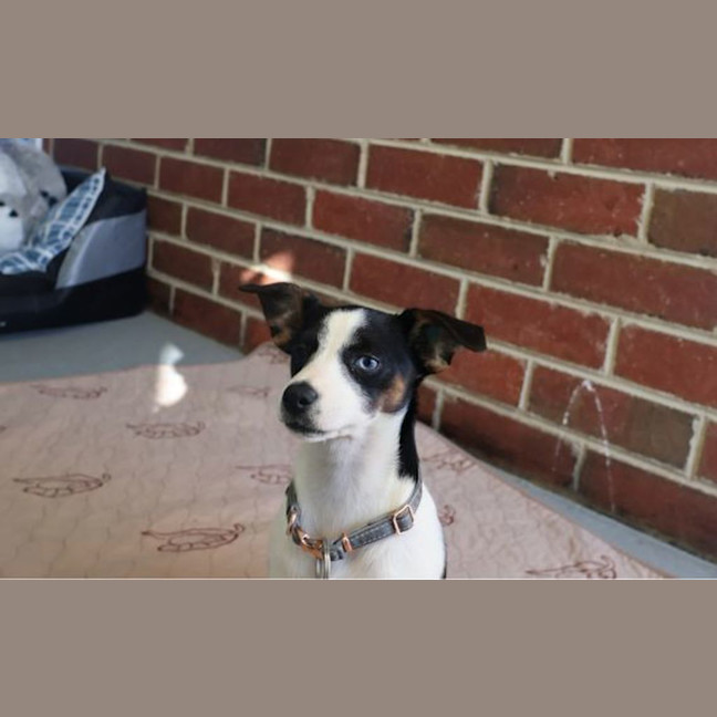 Photo of Lucy