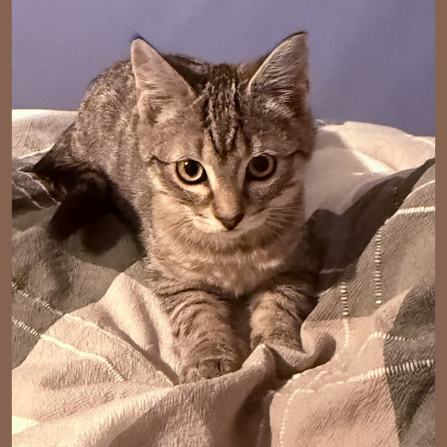 Photo of Adelyn