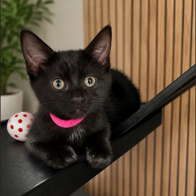 Photo of Jemimah