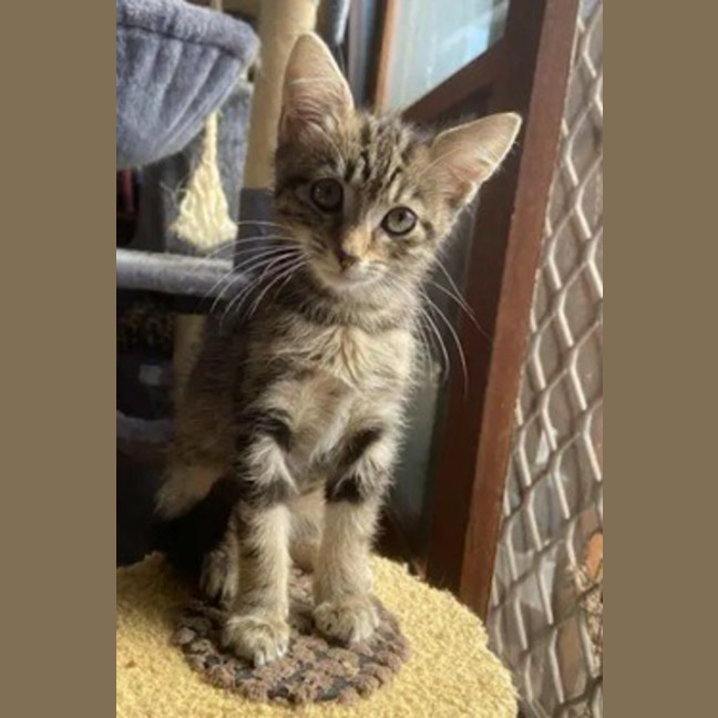 Photo of Winslow
