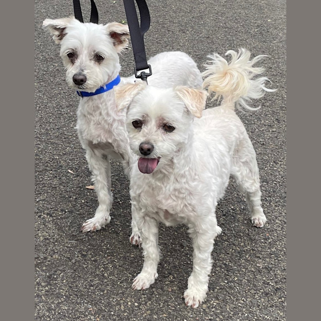 Photo of Snowy And Stormy