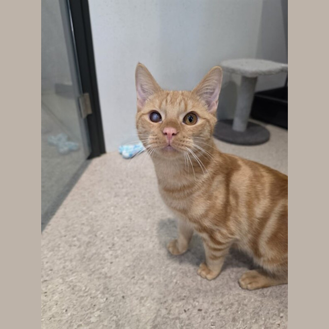 Photo of Fury