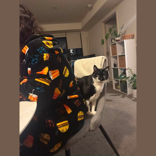 Photo of Pepper