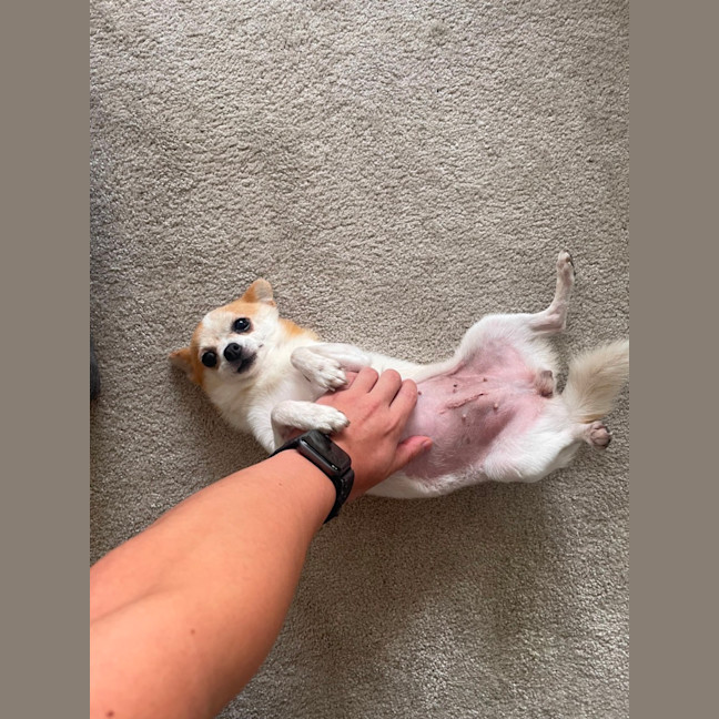 Photo of Mini