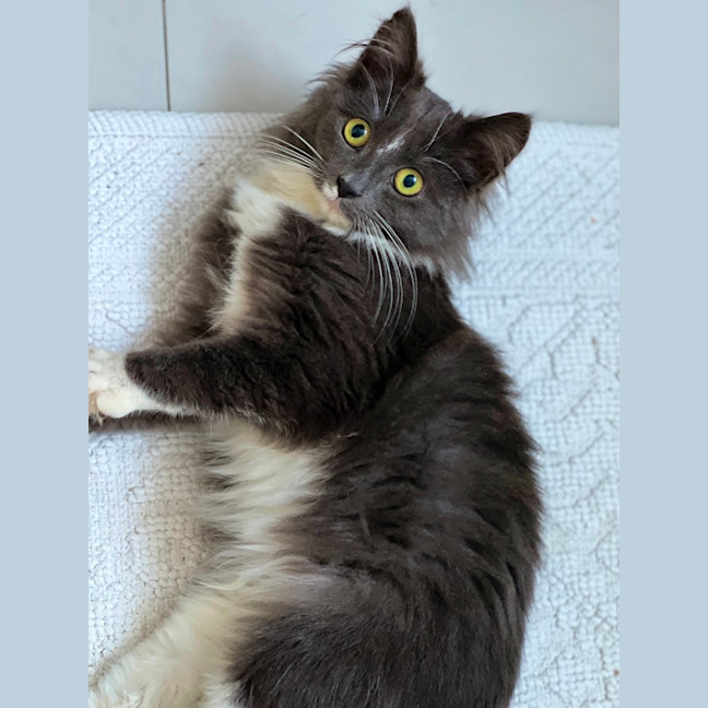 Photo of Jayla