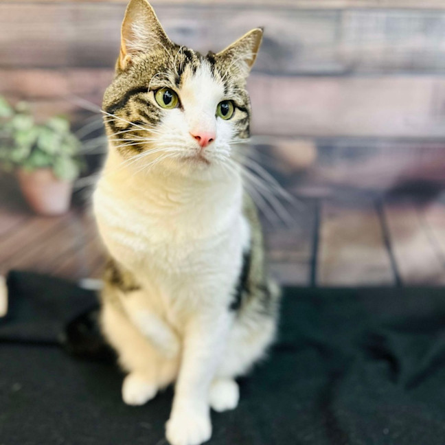 Photo of Coffee   Located In Thornbury