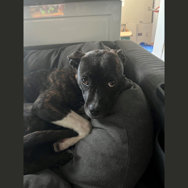 Photo of Daisy Haliwell