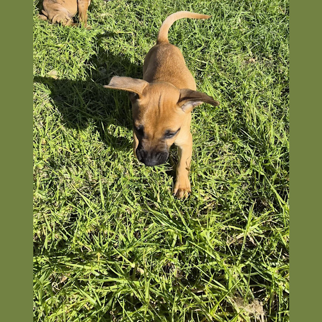 Photo of Luigi