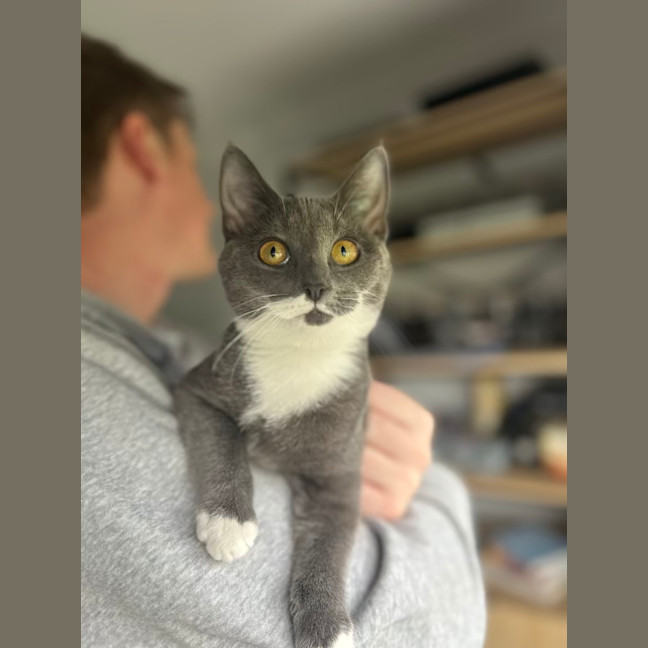 Photo of Mittens