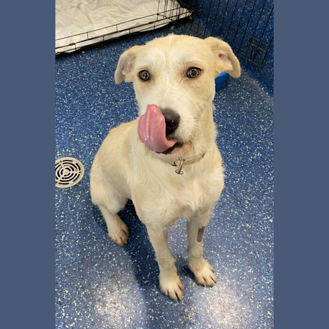 Photo of Grace Kelly