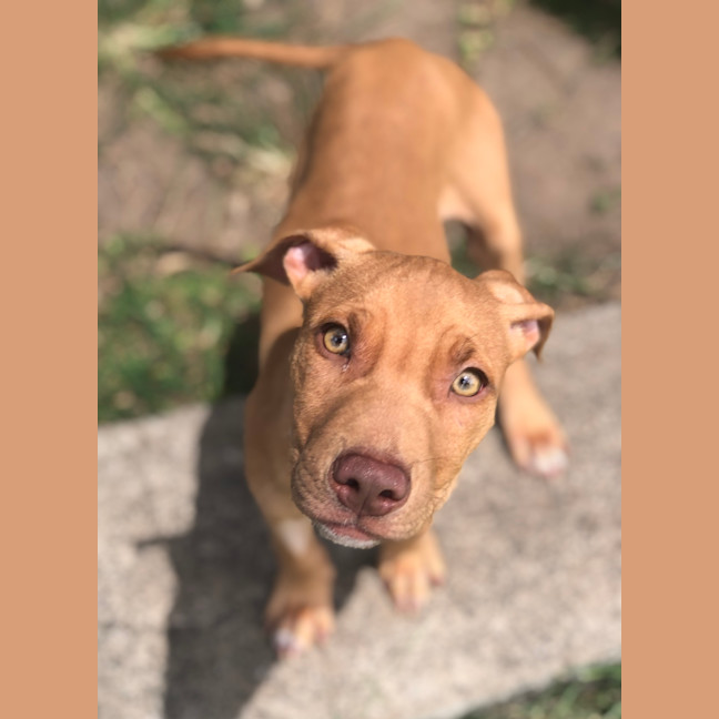 Photo of Lulu