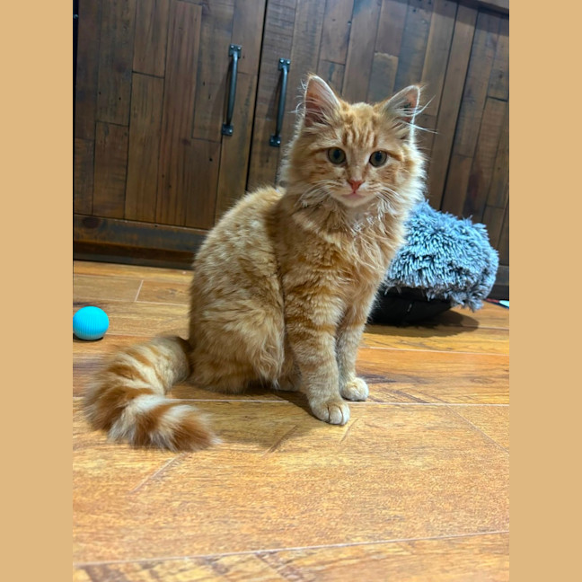 Photo of Binky
