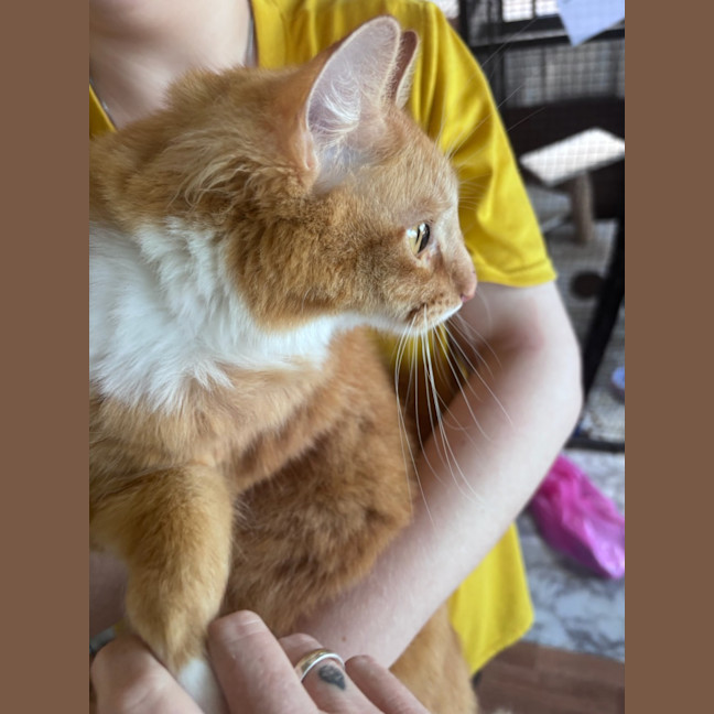 Photo of Milo