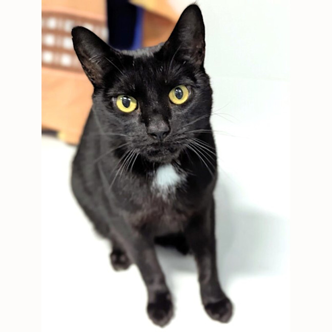 Photo of Wednesday