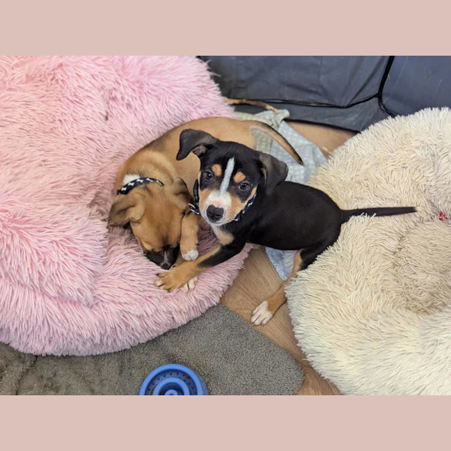 Photo of Dracule Mihawk