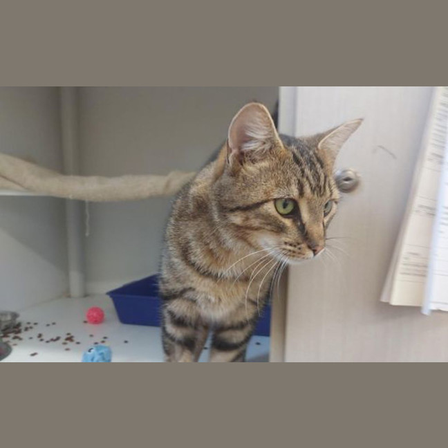 Photo of Leo