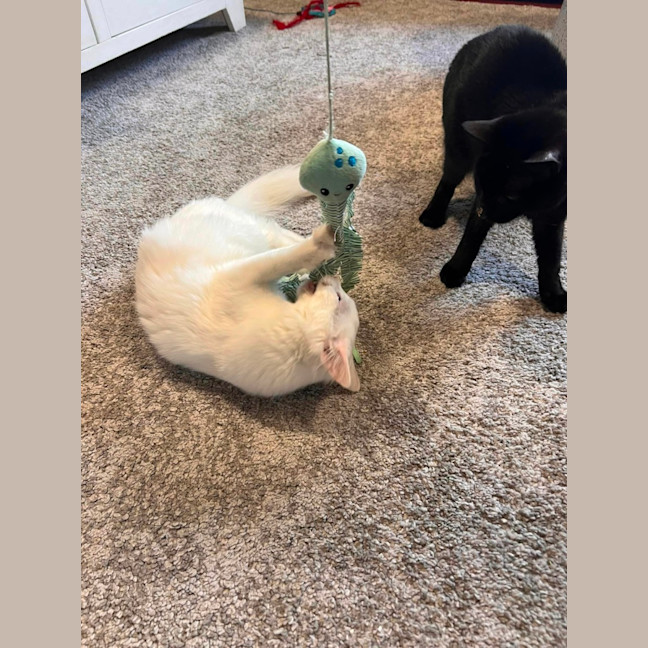 Photo of Miss Mellow