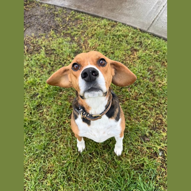 Photo of Sammi