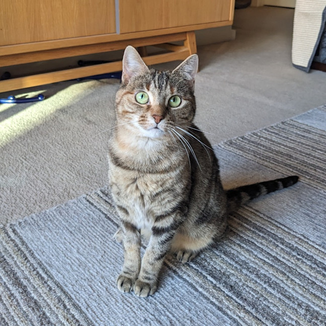 Photo of Elvina   Located In Coburg