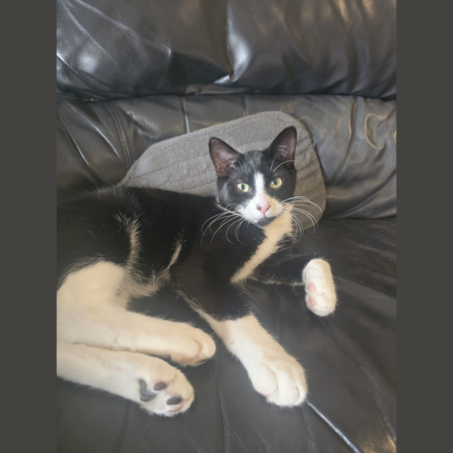 Photo of Jack